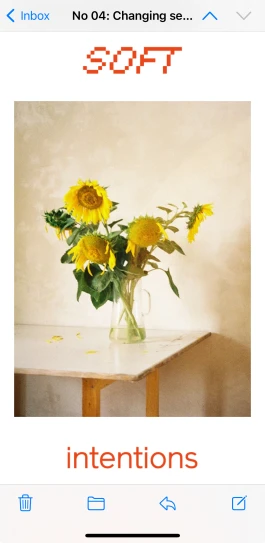 Studio Mona Osterkamp
