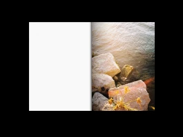 Studio Mona Osterkamp