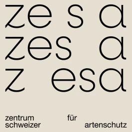 Studio Mona Osterkamp
